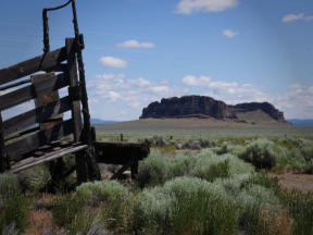 Old Stock Chute and Fort Rock amoungest the sagebrush